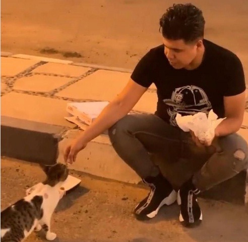 عمر كمال يطعم قطة فى الشارع